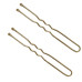 Шпильки для волос волнистые с наконечником Tico Professional 300681 - Золотистые (длина 60 мм, вес 100 грамм)